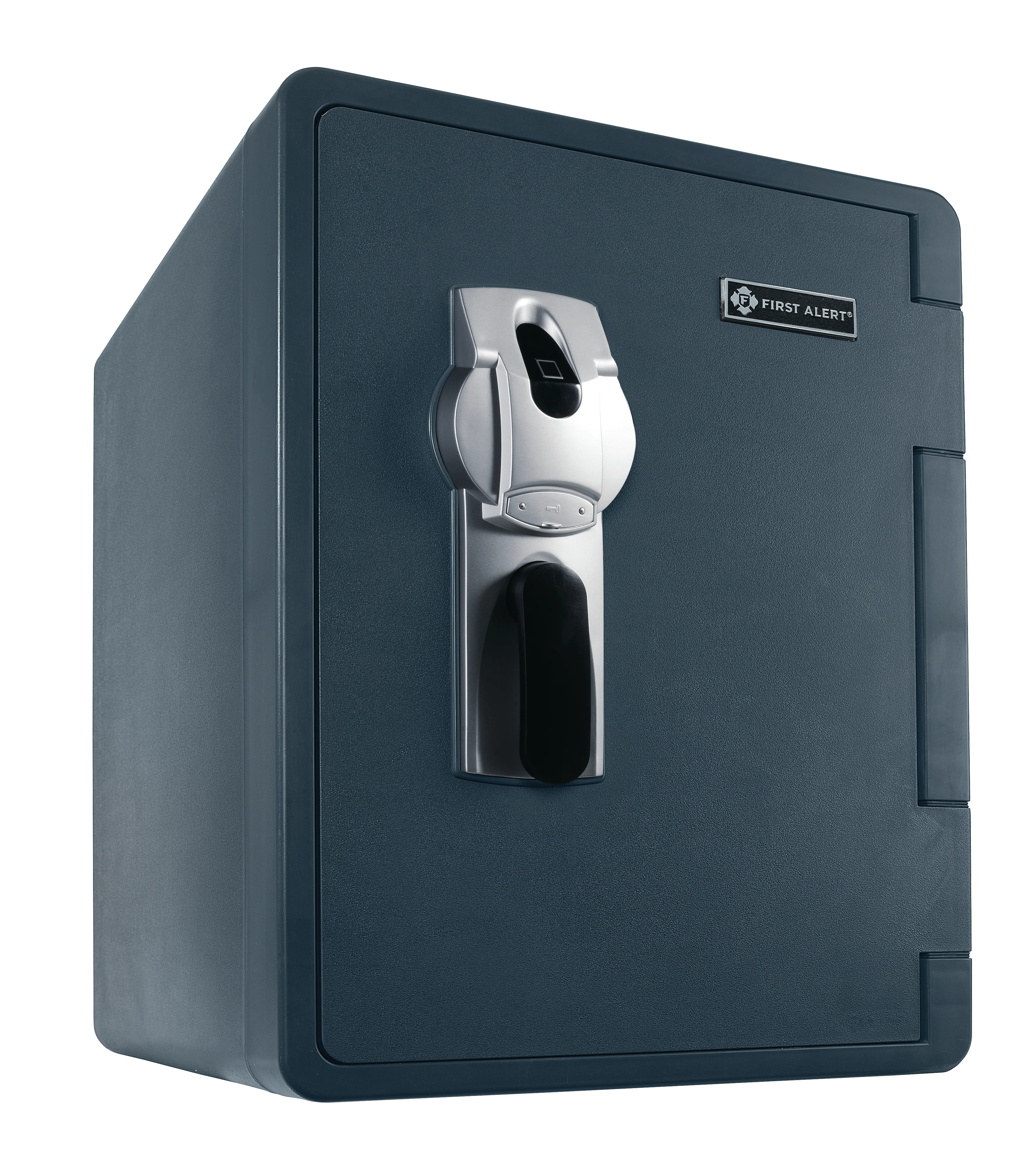 Wall & Floor Safe